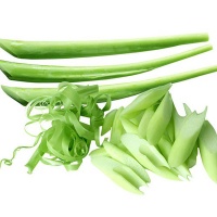 Dọc mùng (bạc hà) vừa thu hoạch, tươi ngon, an toàn